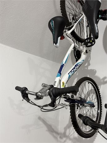 Schwinn Bike