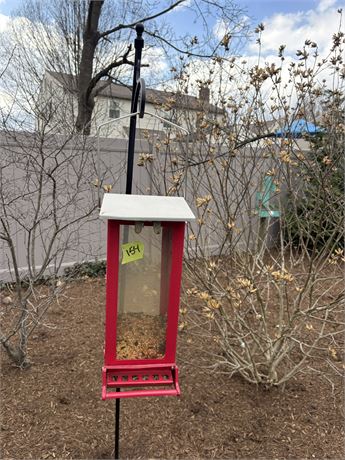 Bird Feeder