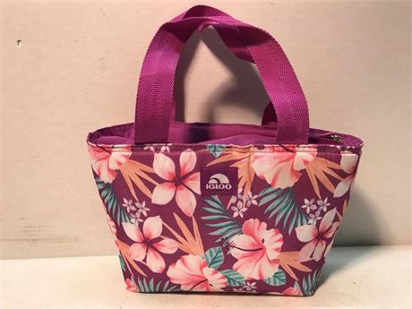 Igloo Insulated Bag