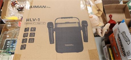 Portable Karaoke Machine With 2 Microphones