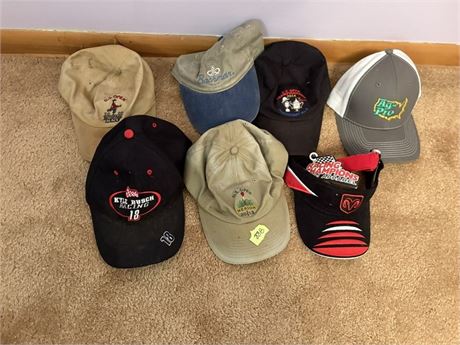 Hat Lot