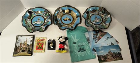 Variety Of Collectible Disneyland Items
