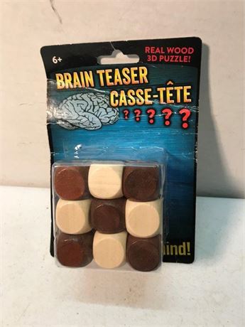 Brain Teaser 3D Puzzle