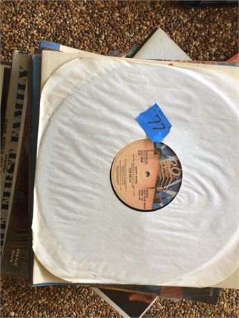 Vinyl Records Lot # 6