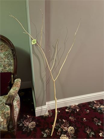 Tree Branch