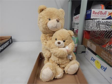 Plush Teddy Bear