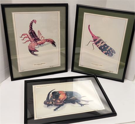 Lot Of Framed Pictures