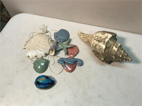 Lot of Seashells