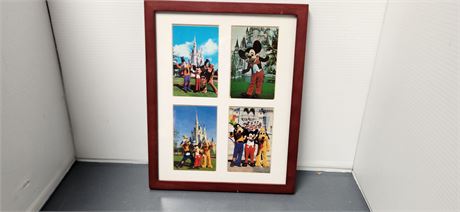 Framed Disney World Pictures
