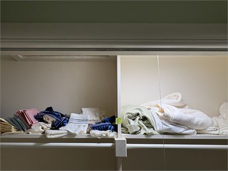 Closet Shelf Lot
