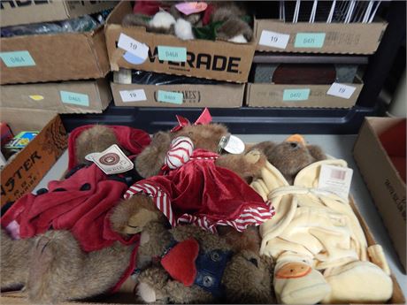 Lot of Boyd Bears