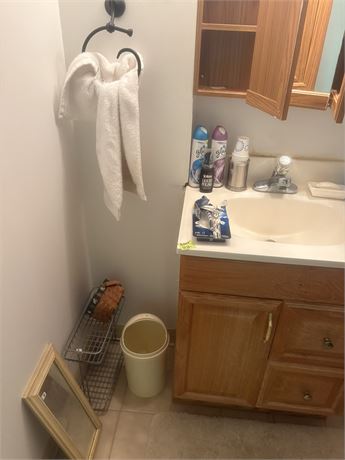 Bathroom Lot (Basement)