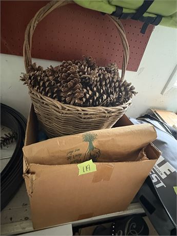 Pine Cones, Basket