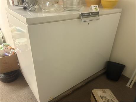 GE Freezer (Basement)