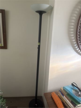 Floor Lamp (Basement)