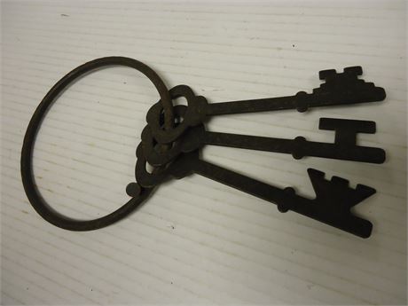 Vintage Flat Steel Skeleton Keys & Ring Wall Decor