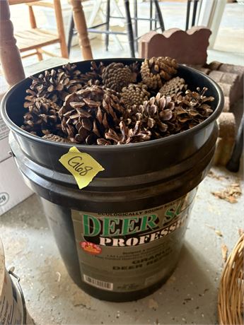 Pine Cones