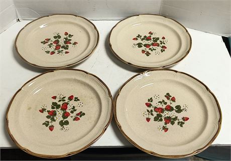 Finesse Summer Berry Stoneware Plates