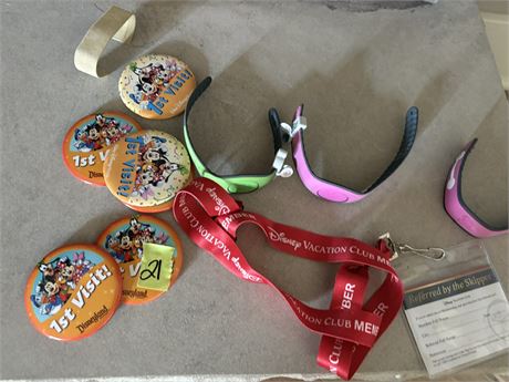 Disney Parks Wrist Bands and Pins