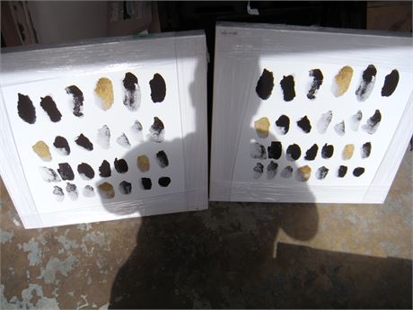 2 Canvas Artwork