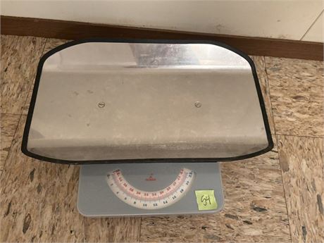 Scale