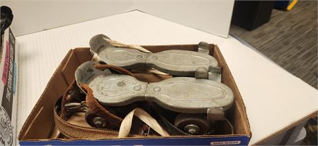Roller Skates