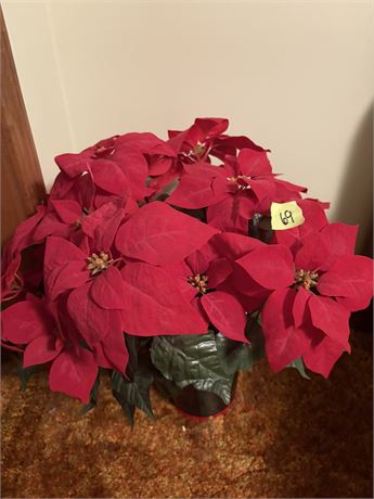 Floral Decor