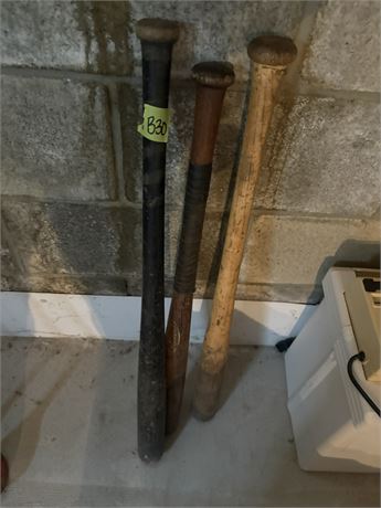 Bats