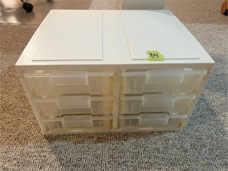 Organizer