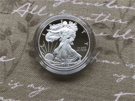 2013 Uncirculated American Eagle from US Mint in display case