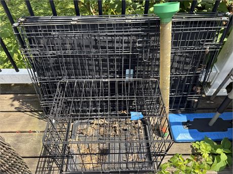 Dog Cage