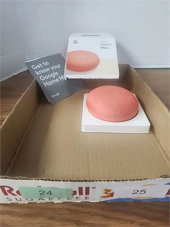 Google Home mini