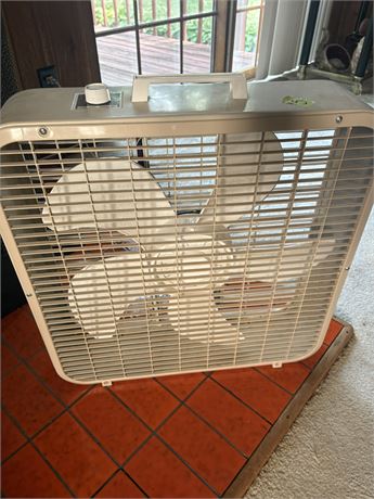 Fan