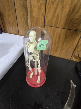 Skeleton