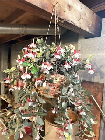 Plant Decor