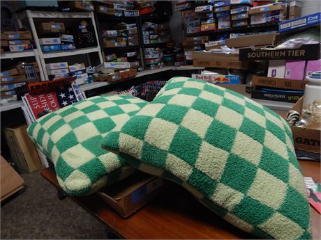 2 Wicked Decorative Pillows