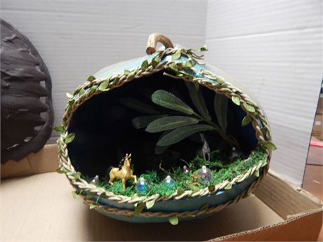 Turtle Shell & Misc. Item