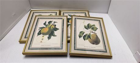 Lot Of Framed Artwork