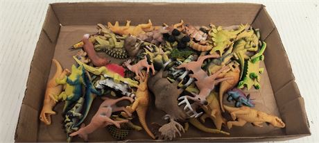 Flat Of Toy Dinosaurs