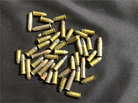 Miscellaneous 22 Ammo