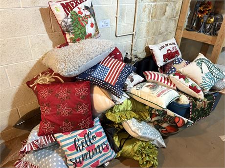 Pillow Lot, Nice Selection