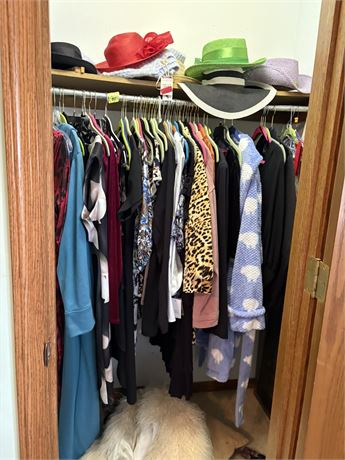Clothing Closet Lot