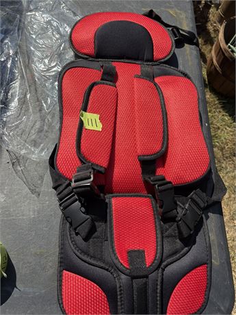 Child's Car Seat Cover