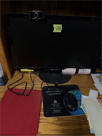 Monitor and Mouse