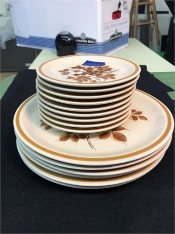 Ekco Eterna Autumn Meadow Plates