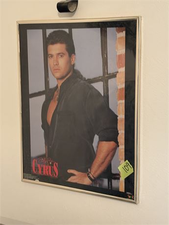 Billy Ray Cyrus Poster