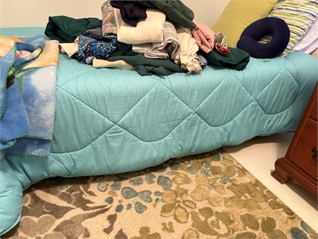 Twin Bed Frame and Mattress (Items on Bed NOT Included)