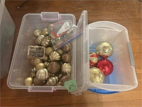 Tree Bulbs