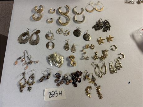 Earrings