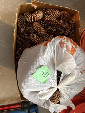 Pinecones
